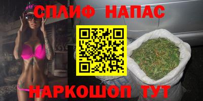 МДПВ Бийск