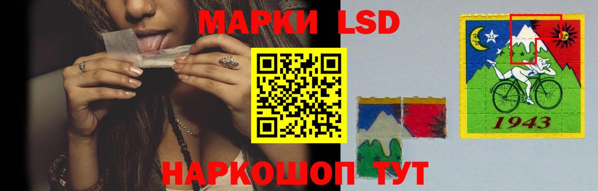 Кодеин  LSD-25  МЕФ   Вход с VPN  Конопля  Выборг  Экстази  ГАШ 