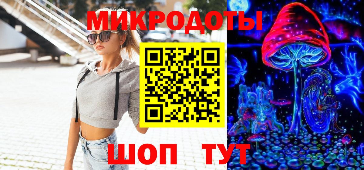 Галлюциногенные грибы Psilocybe Выборг